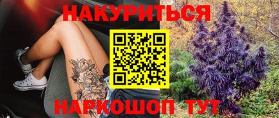 дмт Краснознаменск